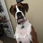 Sharon Criswell - Facebook