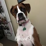 Sharon Criswell - @sharoncriswell - Instagram