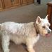 Sharon Croom - Facebook