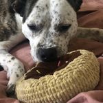 Sharon Crosbie - @sharon.maher.crosbie - Instagram