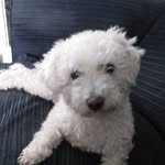 Sharon Crosbie - @crosbiesharon77 - Instagram