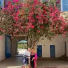 sharoncrosbie6 - @sharoncrosbie6 - TikTok