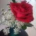 Sharon Marlene Crownover - Facebook