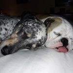 Sharon Culley Morgan - @sharonculleymorgan - Instagram