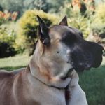 Sharon L. Culley - @sharonl.culley - Instagram