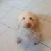 Sharon Cummins - Facebook