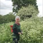 Sharon Brooks Curling - @sharoncurling - Instagram