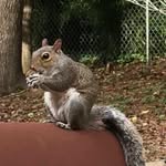 Sharon Curlee - @sharon.curlee.3 - Instagram