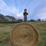 Shaun & Sharon Cusack - @sweethillsranch - Instagram