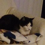 Sharon Cuthbertson - @sharon.cuthbertson.731 - Instagram