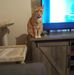 Sharon Cutro - Facebook