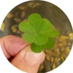 Sharon D. Tyson Daigle - @sassylouisianasouthernmom2022 - Instagram