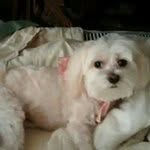 Sharon Daily - @sharondaily - Instagram