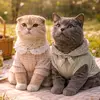 sharong.daily - @sharong.daily - TikTok