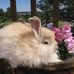 Sharon Dalrymple - Facebook