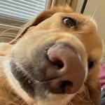Sharon Dalrymple Tierney - @tierneysharon - Instagram