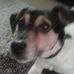 Sharon Danks - Facebook