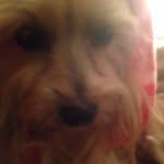Sharon Dargan - @shaondargan - Instagram