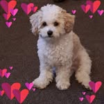 Sharon Darlington - @darlington_sharon - Instagram