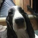 Sharon Darlington - @darlingtonsharon - Instagram