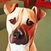 Sharon Darlington - Facebook