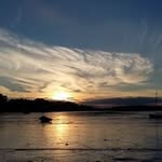 Sharon Davey - @sharon.davey - Instagram