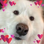 Sharon Davey - @sharon_davey66 - Instagram