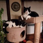 Sharon Dawes - @sharon.dawes.75 - Instagram