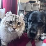 Sharon Dear - @dear.sharon - Instagram
