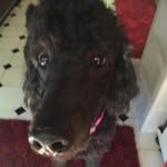 Sharon Deaver - @suzie12121212 - Instagram