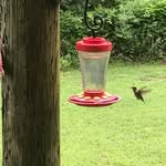 Sharon Deaver - @deaver1954 - Instagram