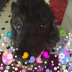 Sharon Deaver - Facebook