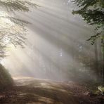 Sharon Defoe - Facebook