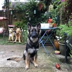 Sharon Defoe - Facebook