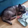 Sharon Defoe - @sharon.defoe1 - TikTok