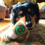 Michael Sharon Demers - @sweetbrookfarmwife - Instagram
