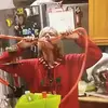 Sharon Demers - @sharon.demers - TikTok
