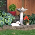 Sharon Demers Charles - @sharoncharles55 - Instagram