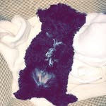 Sharon DeNardo - @sharondenardo6926 - Instagram