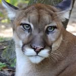 Sharon Denning - @sharon.denning.988 - Instagram