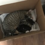 Sharon Denning - @denning.sharon - Instagram