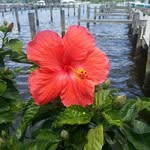 Sharon Denny - @sharon.denny.14 - Instagram