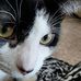Sharon Denny - Facebook