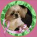 Sharon Denny - Facebook
