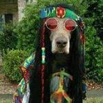 sharon denny stokes - @dennytwin1 - Instagram