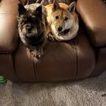 Sharon Derbyshire Johnston - @sharonderbyshirejohnston - Instagram