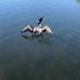 Sharon Deutsch - Facebook