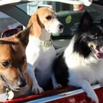 Sharon Deutscher - @sharon.deutscher.9 - Instagram