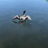 sharondeutsch895 - @sharondeutsch895 - TikTok