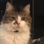 Sharon Devlin - @devlin7824 - Instagram